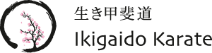 Ikigaido Karate Logo