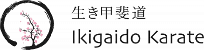 Ikigaido Karate Fällanden Benglen Pfaffhausen