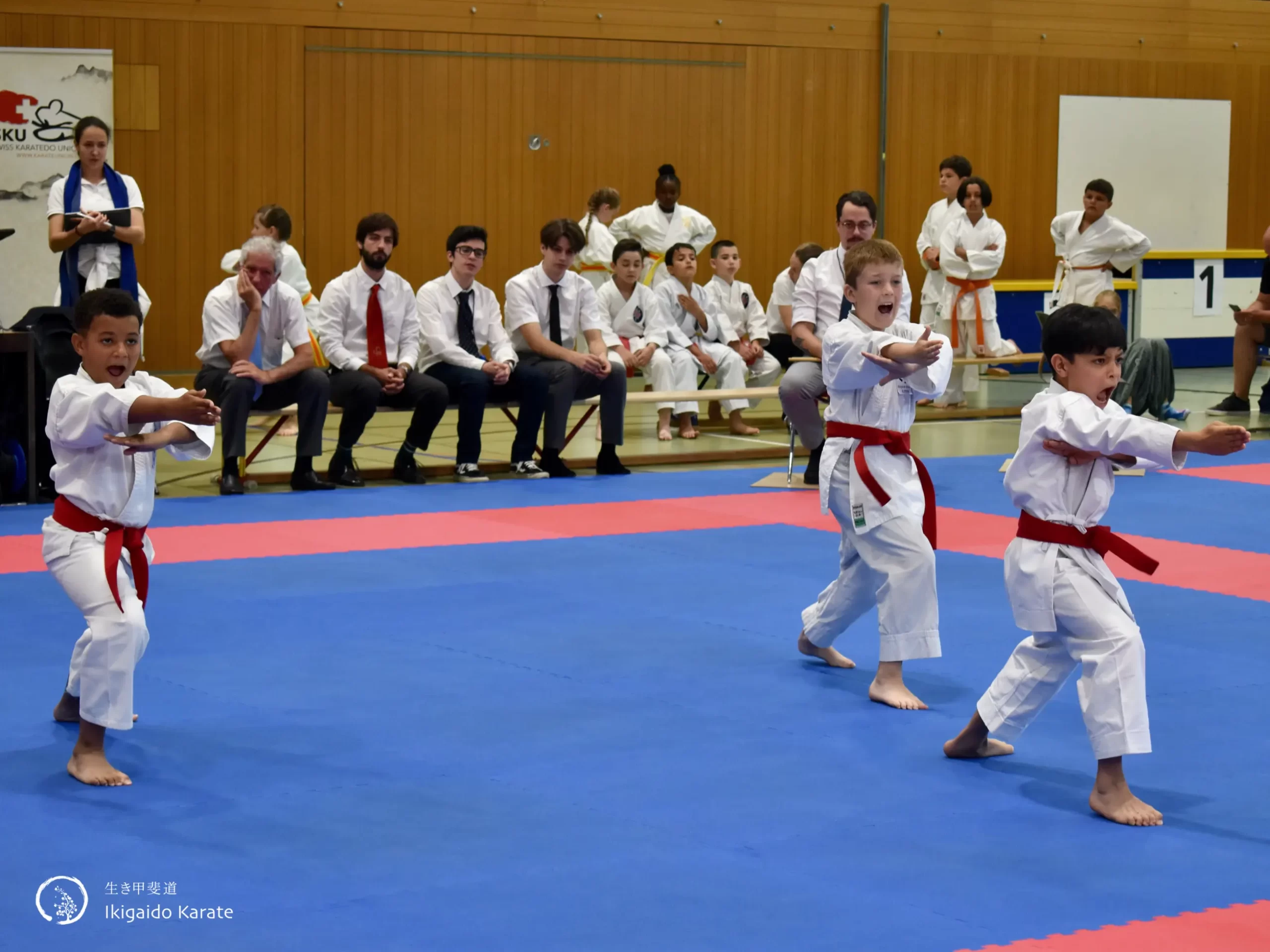 Teamkata Nachwuchs Teamkata Nachwuchs