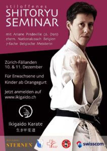 Flyer Shitoryu Karate Seminar in Zürich Fällanden, mit Ariane Pindeville, 11. und 12. Dezember 2022